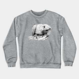 Macaw Crewneck Sweatshirt